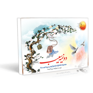 فلش کارت دو نیمه سیب