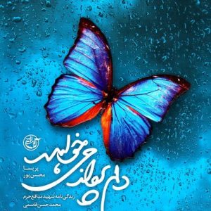 کتاب دلم پرواز می خواهد