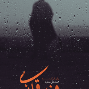 کتاب وزیر قلابی